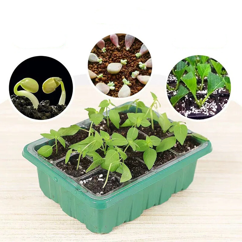 Dome Propagation Kit - 5Pcs 6/12 Grids Growing Starting Nursery