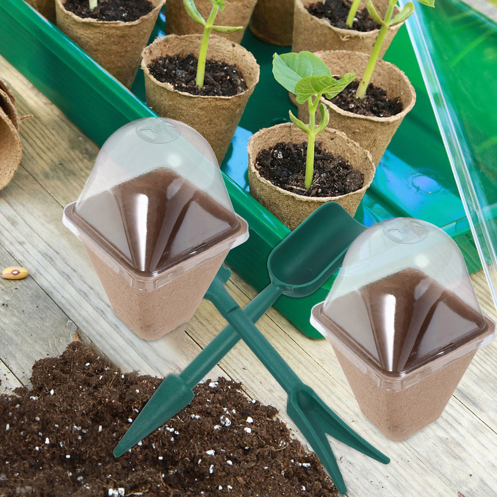 10Pcs Sustainable Seedling Sta - đánh giá và giá Dome Propagation Kit