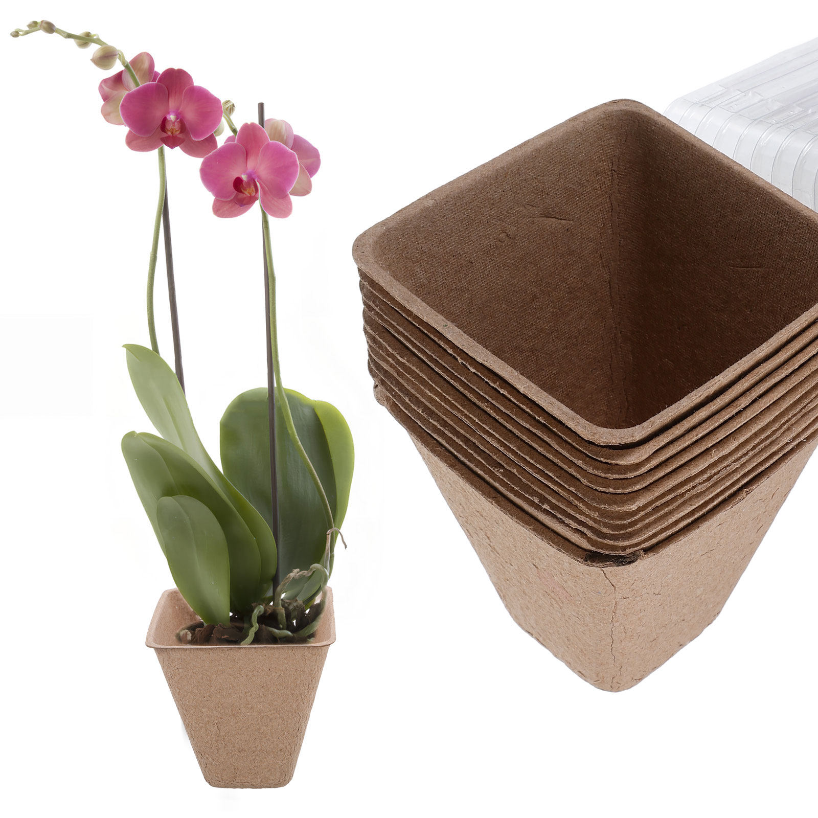 10Pcs Sustainable Seedling Sta - đánh giá và giá Dome Propagation Kit