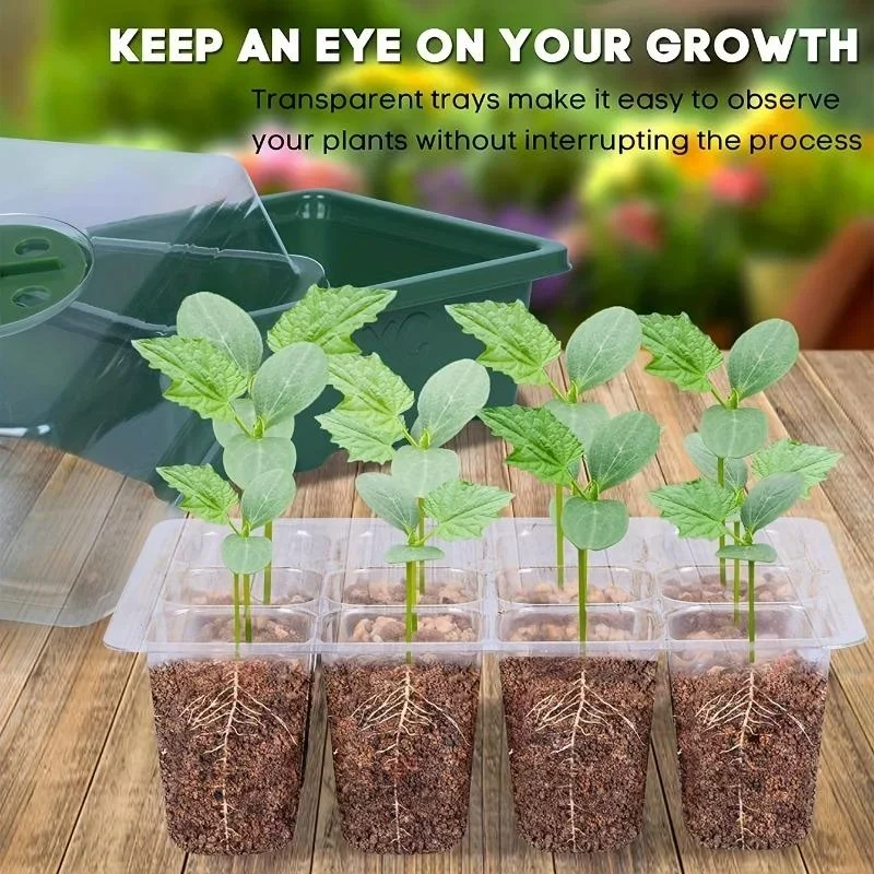 12Grids Seedling Trays Seed St - đánh giá và giá Dome Propagation Kit